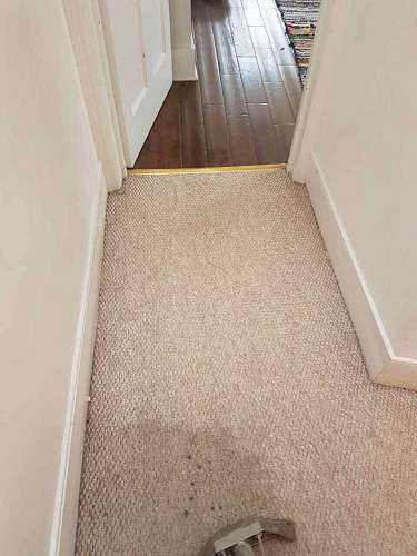 Brixton domestic cleaner