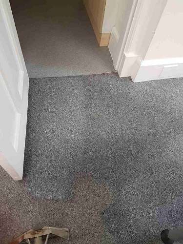Queen's Park cleaning carpets
