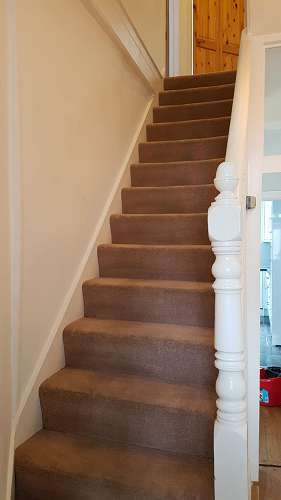 South Tottenham clean carpet