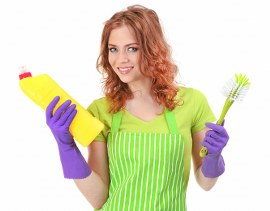 Professional Cleaning Services