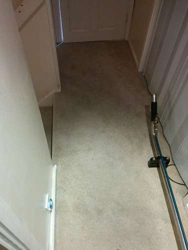 Anerley clean carpet