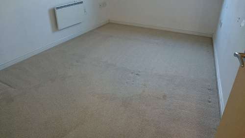 carpet cleaning Barnet