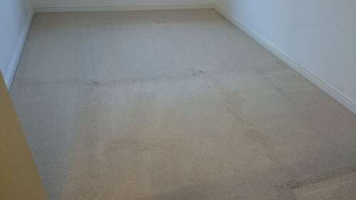 carpet cleaning Chelsea