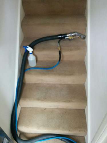 Clapton cleaning carpets