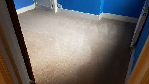 Clapton clean carpet
