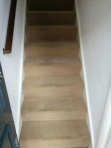 carpet cleaning Croydon