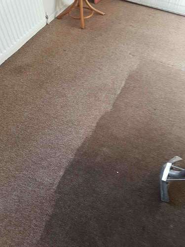 Elmers End clean carpet