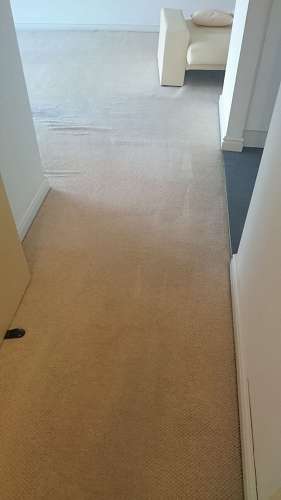 carpet cleaning Harold Wood