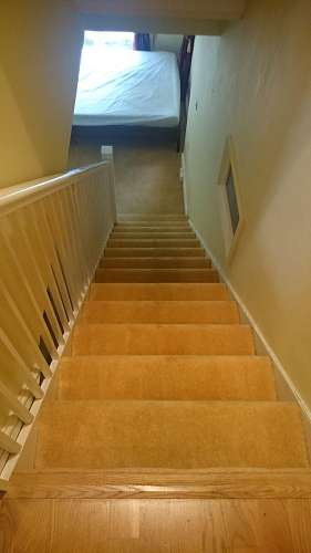 carpet cleaning Hendon