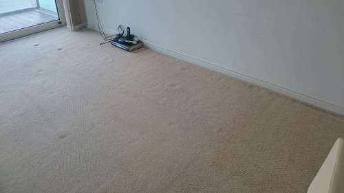 carpet cleaning Knightsbridge