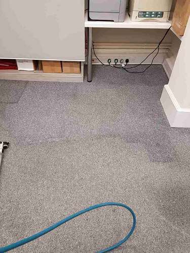 Queensbury clean carpet