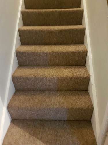 Queensbury cleaning carpets