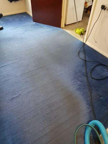 Richmond upon Thames clean carpet