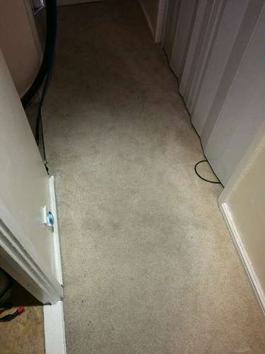 Richmond upon Thames cleaning carpets