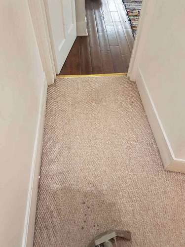 E1 carpet cleaning Shadwell