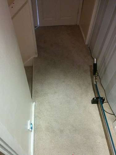 South Kensington cleaning carpets