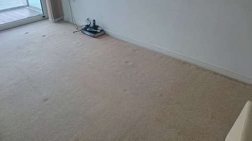 Tolworth cleaning carpets